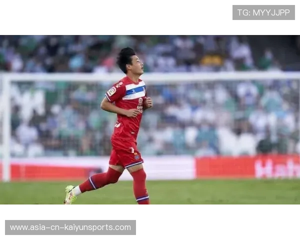 单后腰支点撑起中场框架，单后腰433